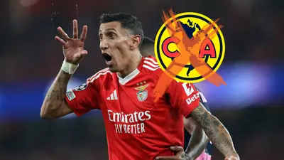Angel Di María / Foto: Benfica