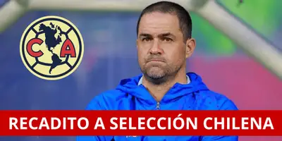 El DT declaró en contra de la selección chilena.