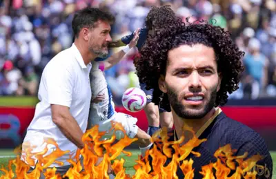 El problema de Lema en Pumas.