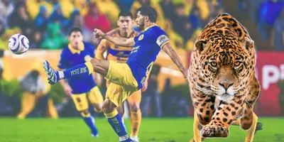 El sorpresivo equipo que eligió el jaguar.