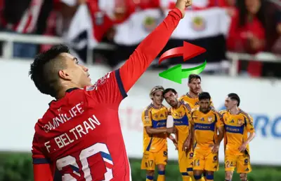 Fernando Beltrán celebrando y jugadores de Tigres/Foto Antena 2.