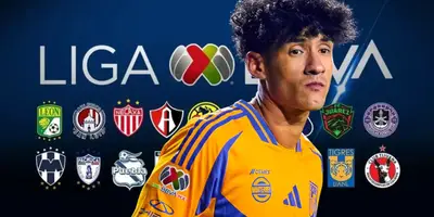 Fondo de equipos de Liga MX, tomado de Reforma