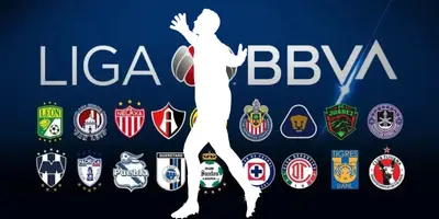 Fondo tomado de Reforma