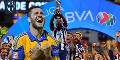 image-a7d93b72-af63-11ee-bc4c-56268b9071f4