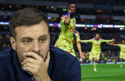 La reacción de Anselmi.