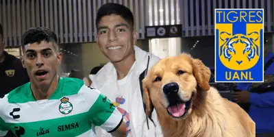 Los grandes de México se preparan para el Torneo Clausura 2024 con tremendos fichajes