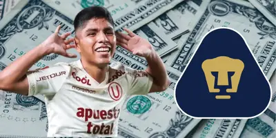 Los Pumas van por una joya peruana.