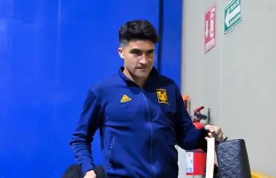 Nicolás Ibáñez/Foto Milenio.