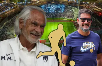 Podría encajar perfecto.