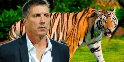 Siboldi después de un partido y al fondo un Tigre en referencia al equipo / Foto Imago7