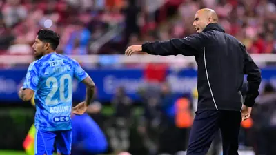 Tigres / Foto: MexSport