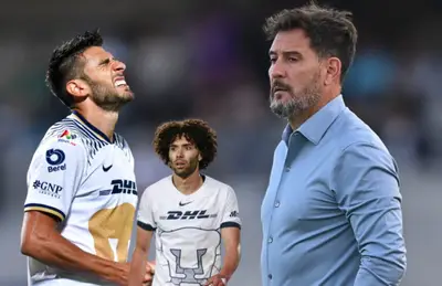 Una pésima noticia para los felinos.