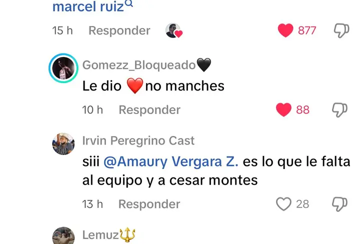 Tomada de TikTok de Amaury Vergara.