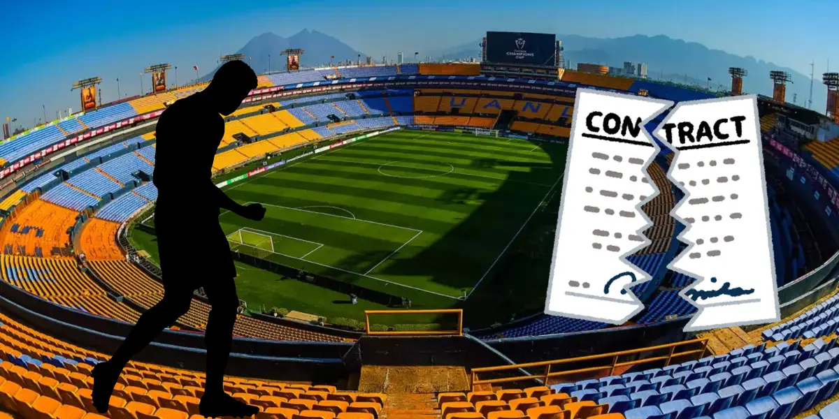 Fondo tomado de Tigres