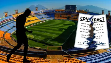 Fondo tomado de Tigres