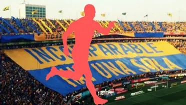Fondo tomado de Tigres