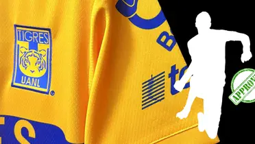 Jersey tomado de Tigres