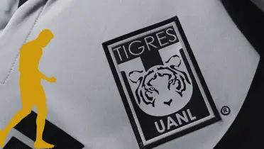 Jersey tomado de Tigres