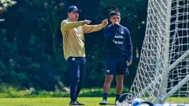 Pumas