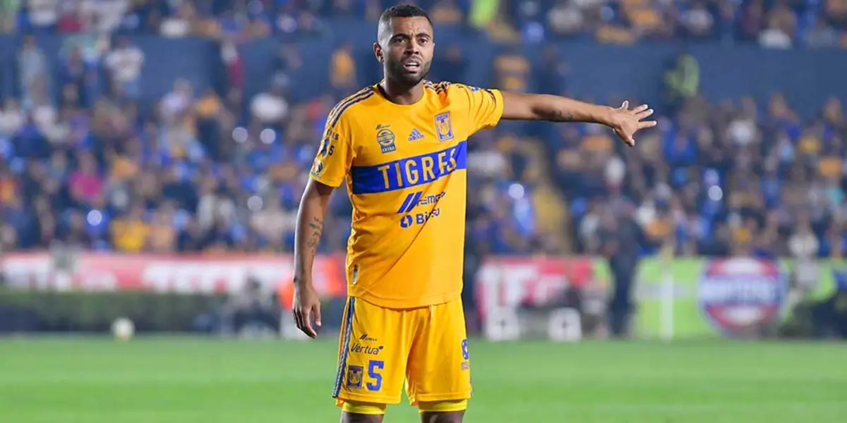 Tigres / Foto: Olé 