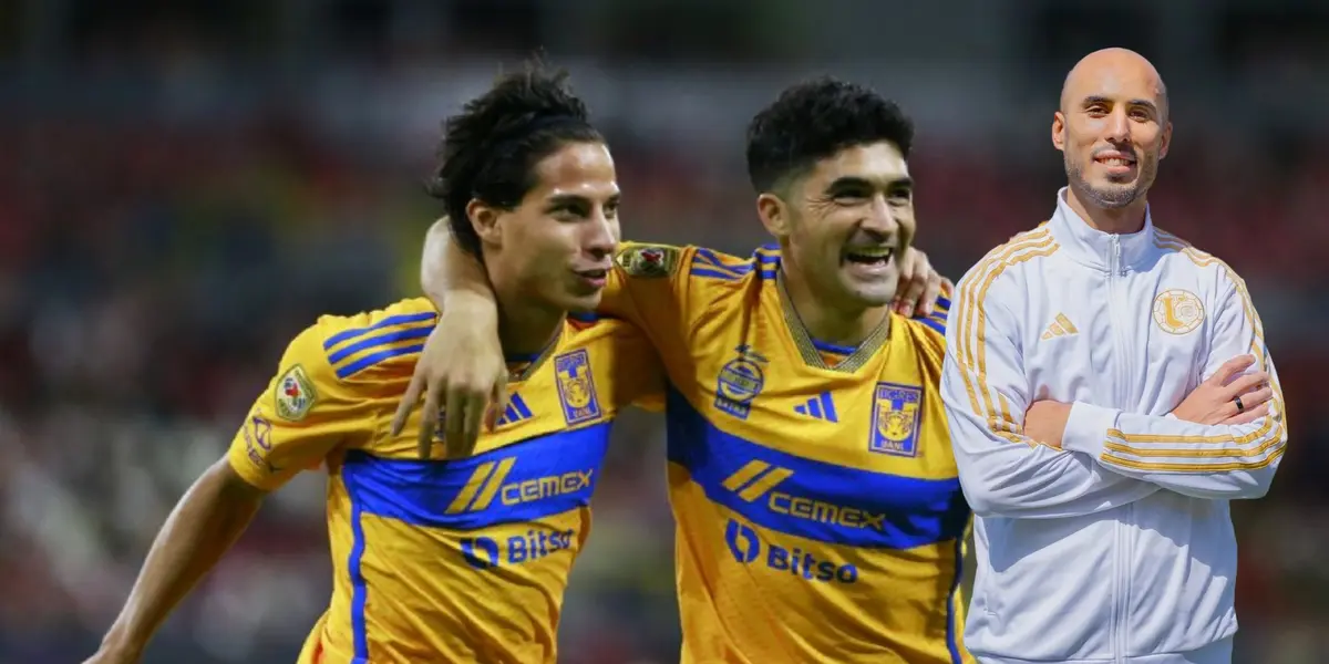 Tigres / Foto: Olé