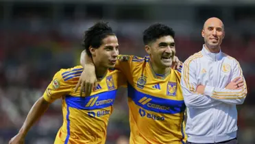 Tigres / Foto: Olé