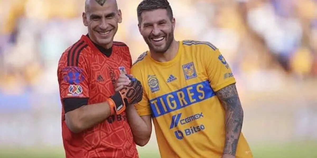 Tigres / Foto: Tigres