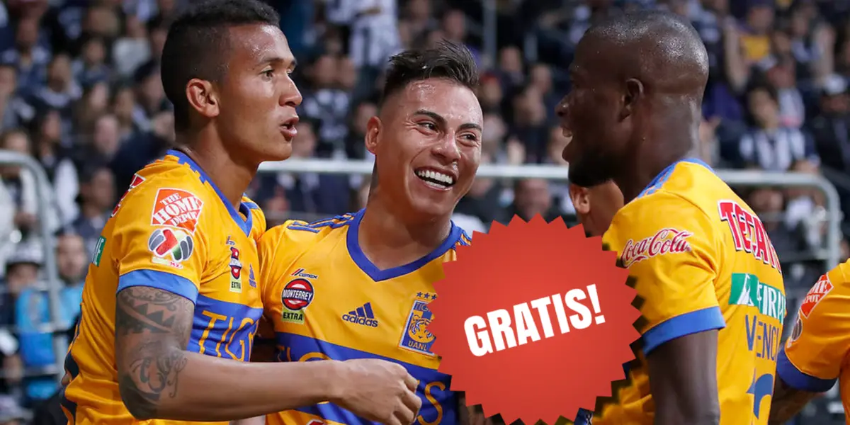 Tigres / Foto: Tigres