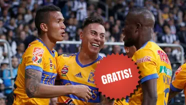 Tigres / Foto: Tigres