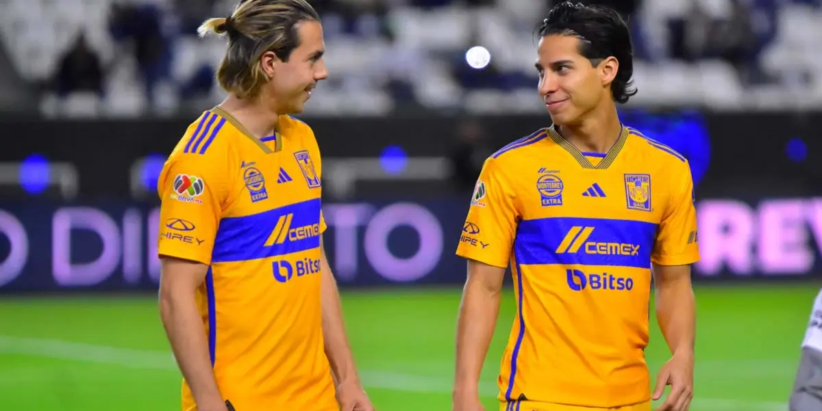 Tigres / Foto: Tigres