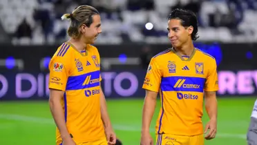 Tigres / Foto: Tigres