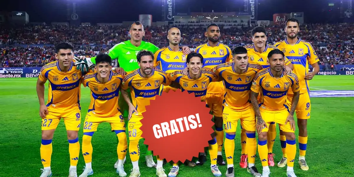 Tigres / Foto: Tigres