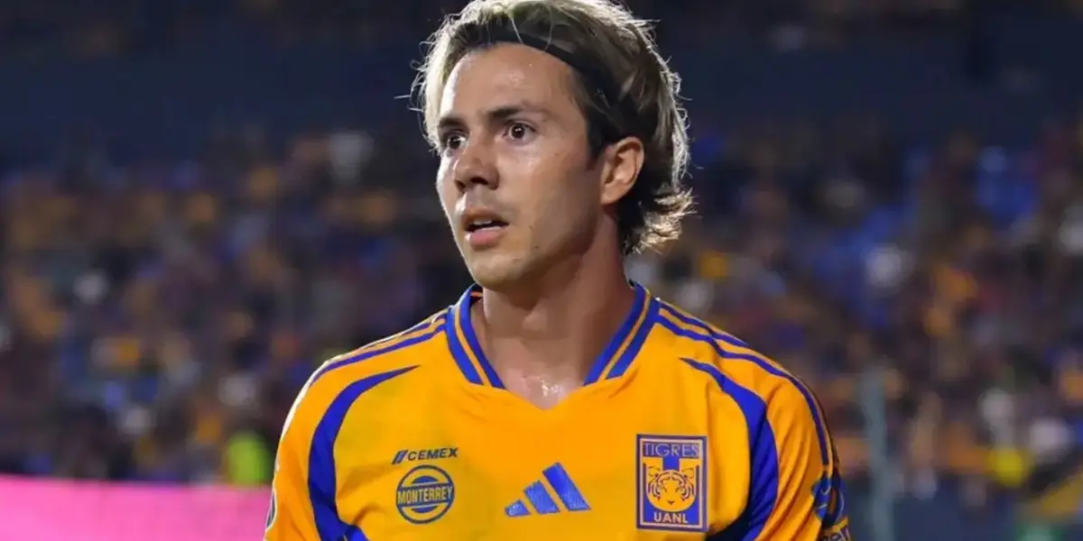 Tigres / Foto: Tigres