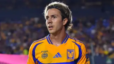 Tigres / Foto: Tigres