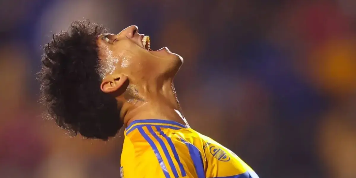 Tigres / Foto: Tigres
