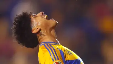 Tigres / Foto: Tigres