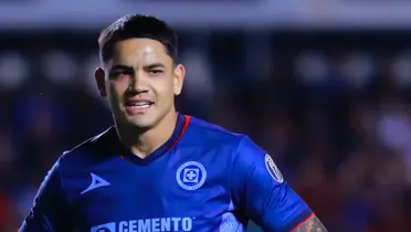 Toro Fernández