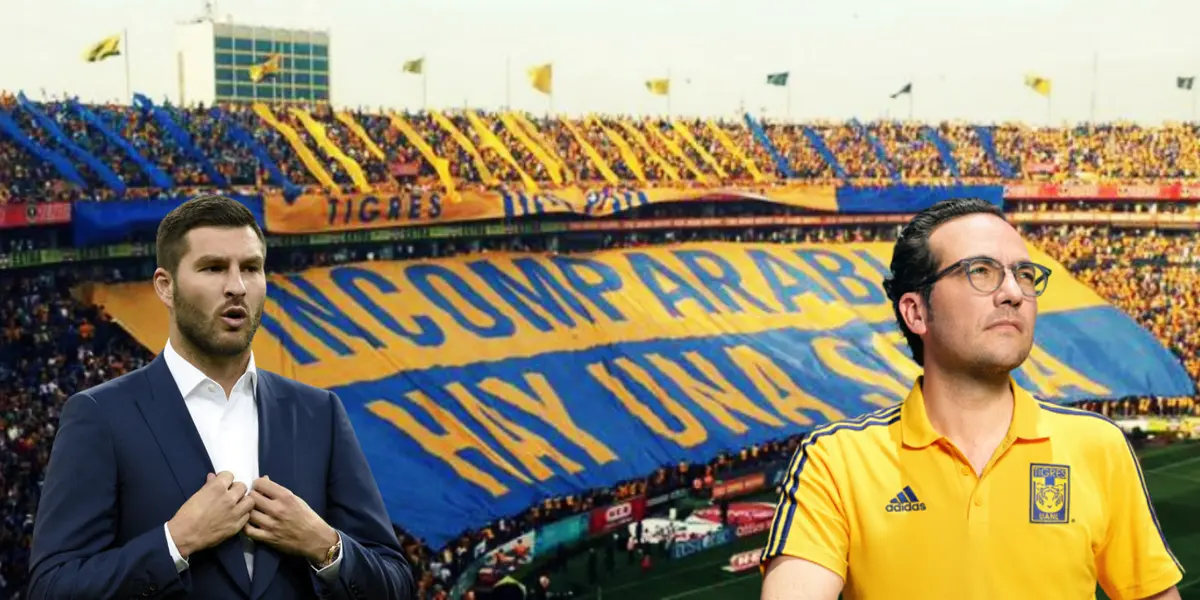 Afición de Tigres en partido. Foto de fondo: TV Azteca