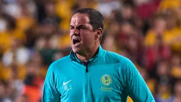 André Jardine / Foto: André Jardine