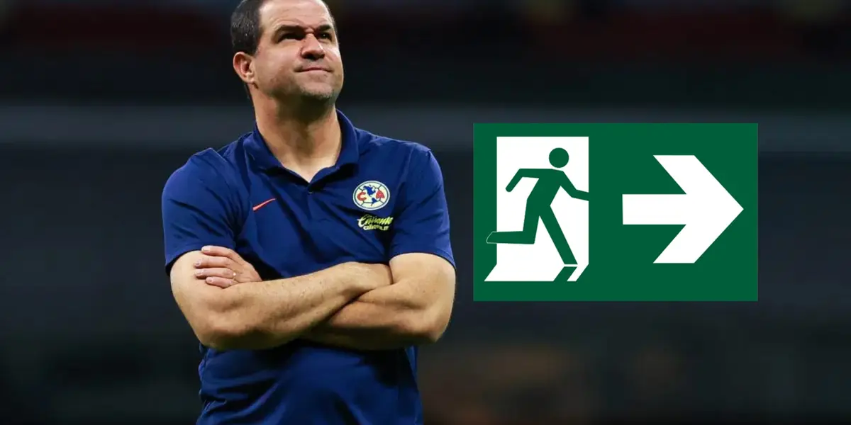 André Jardine / Foto: Récord