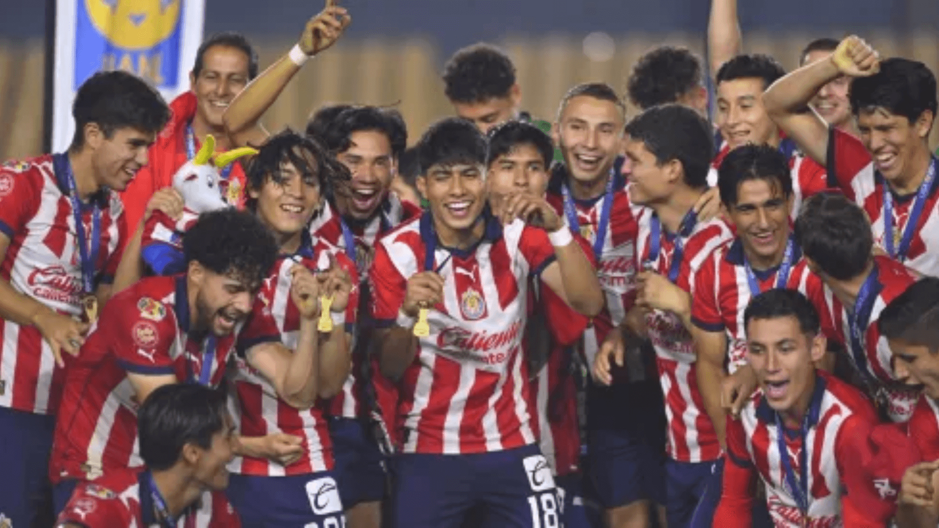 Chivas / Foto: Bolavip