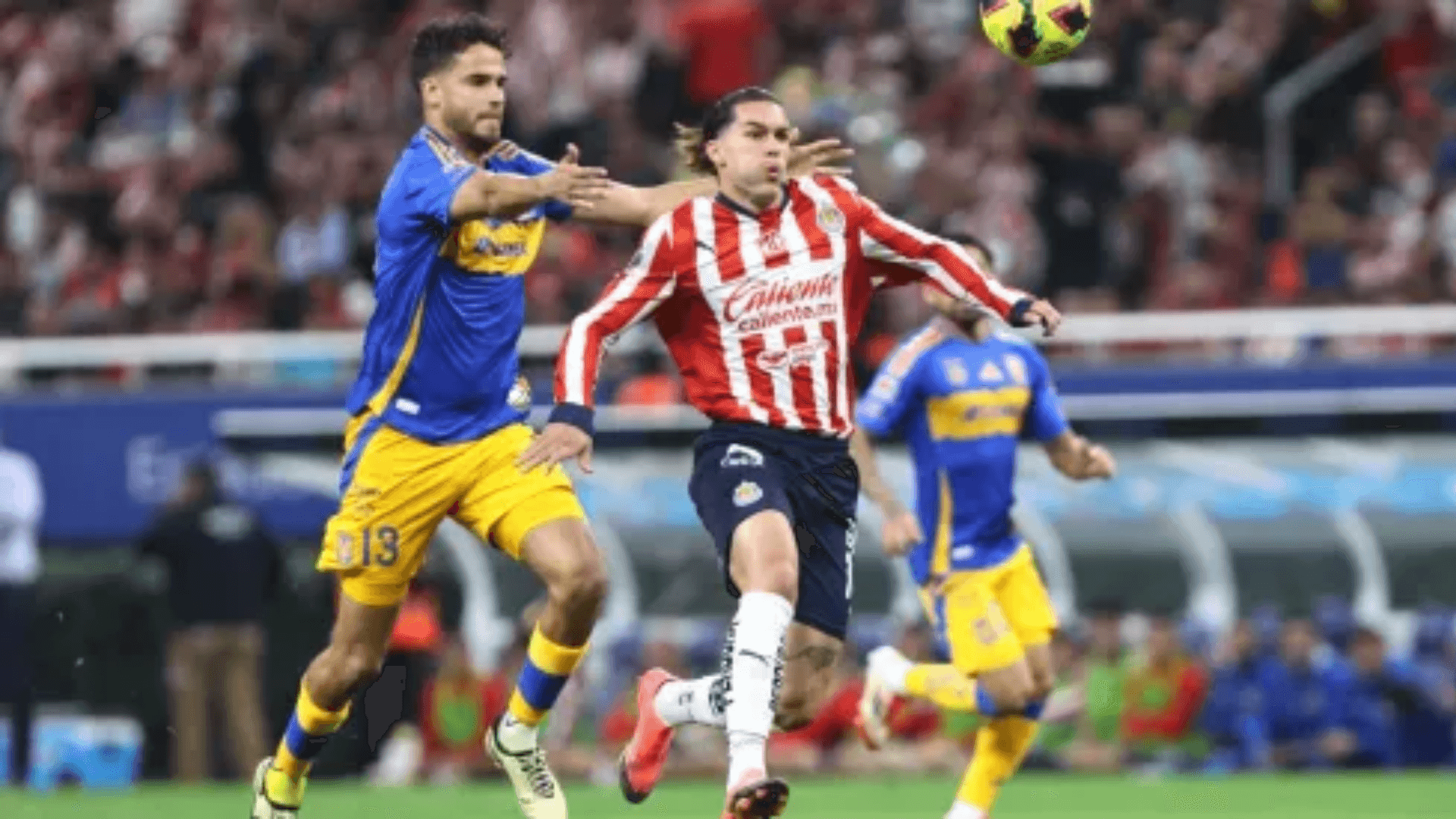 Chivas / Foto: Chivas