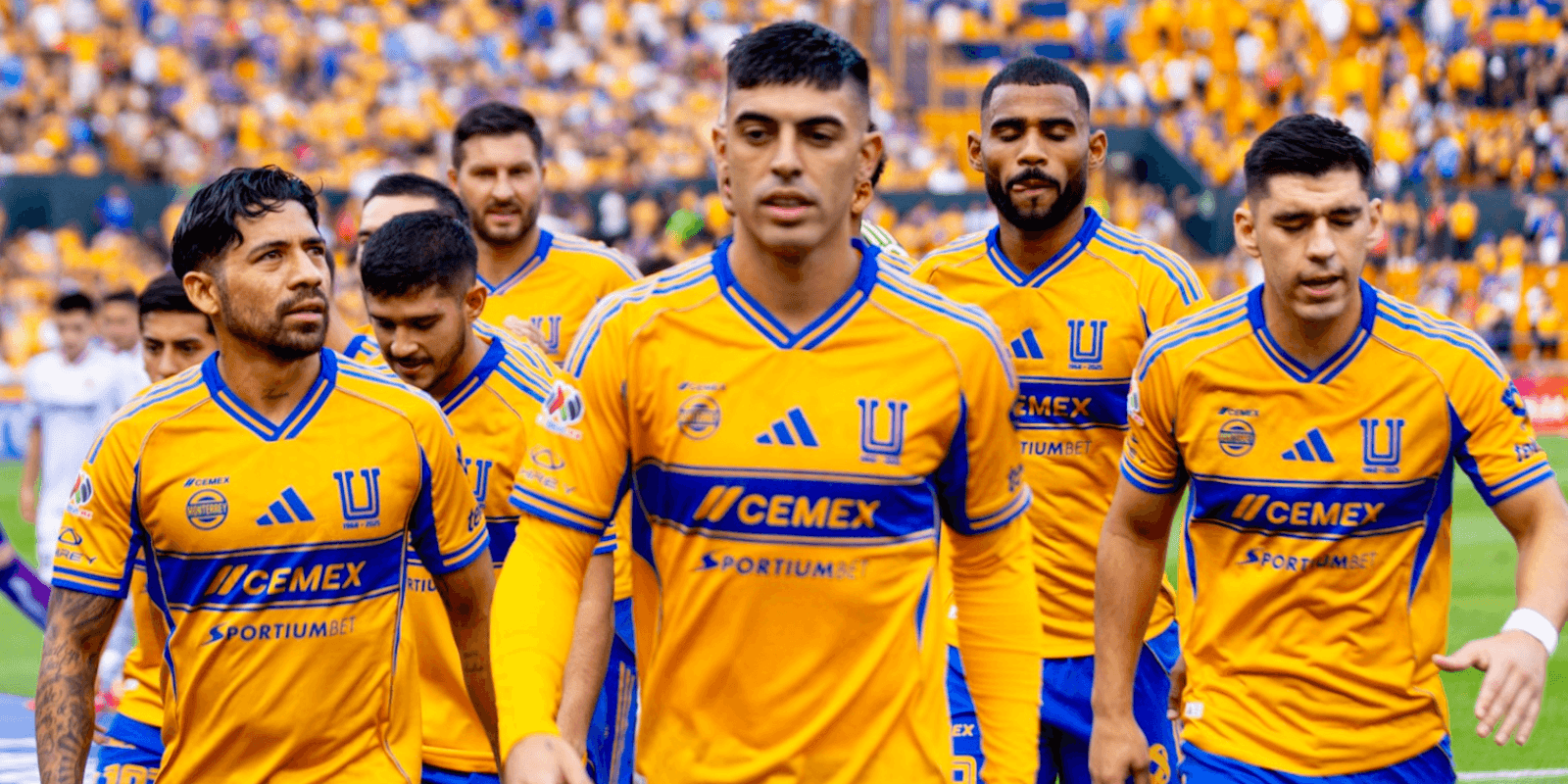 Edit tomado de Tigres