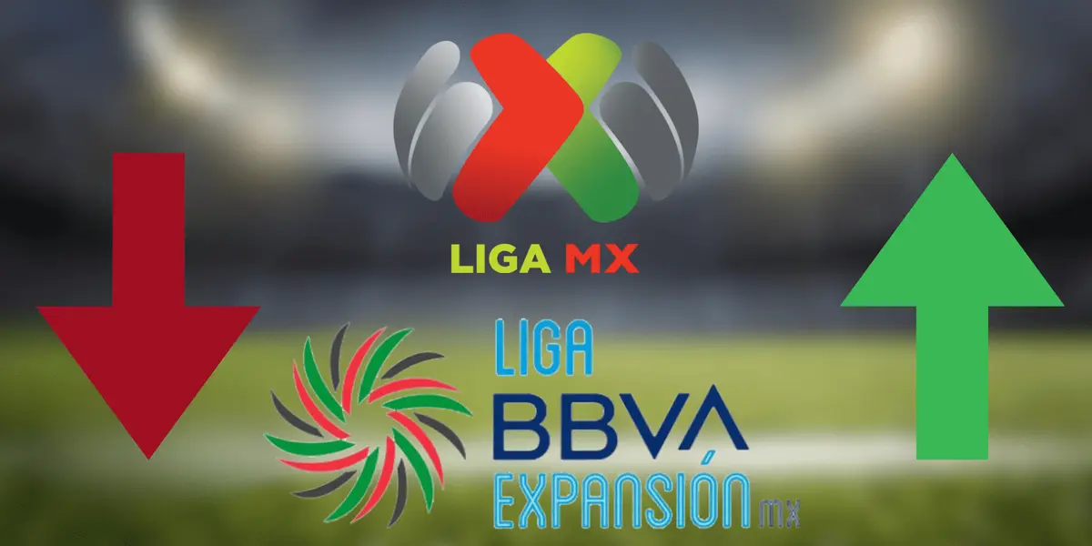 Esto fue lo que dijeron los dueños.