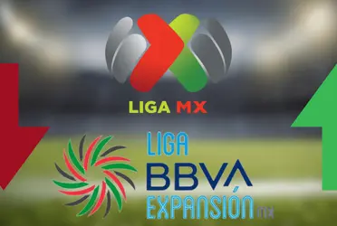 Esto fue lo que dijeron los dueños.