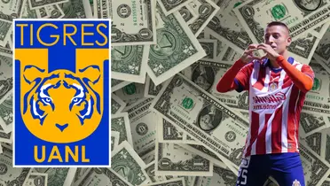 Fondo de dólares tomado de Canva