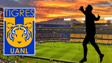 Fondo de Wikipedia con escudo de Tigres