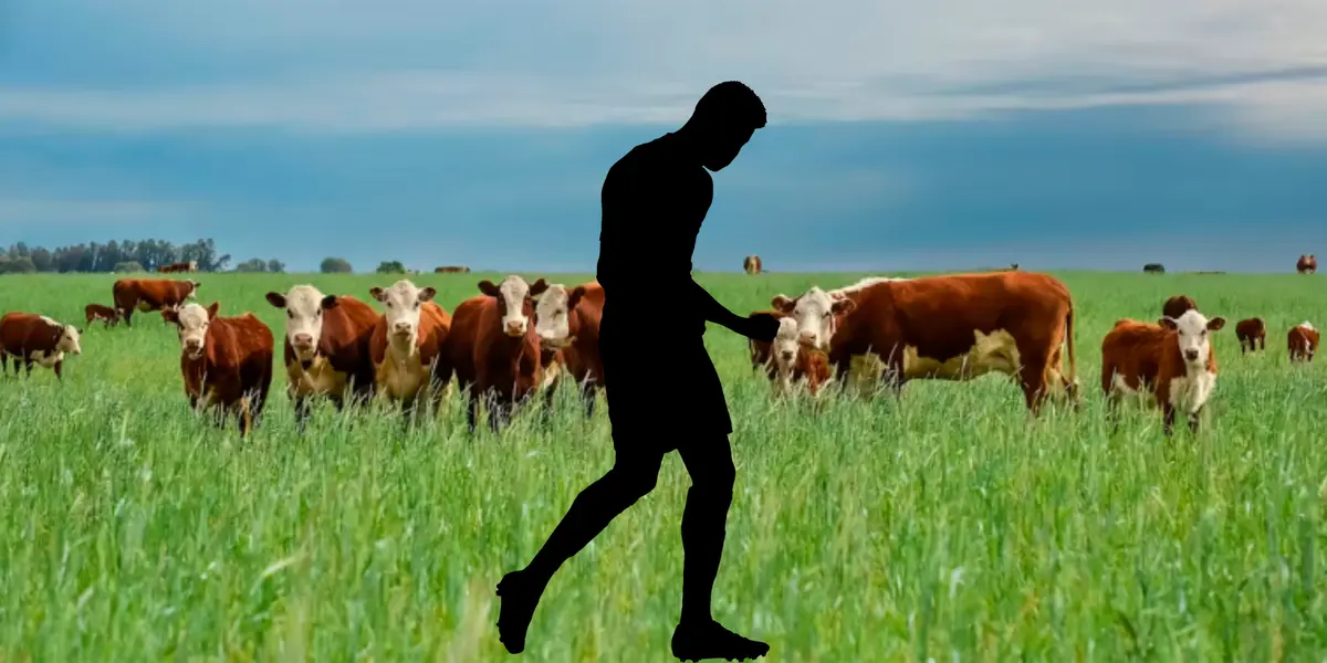 Ganedería de fondo. Foto: El Economista