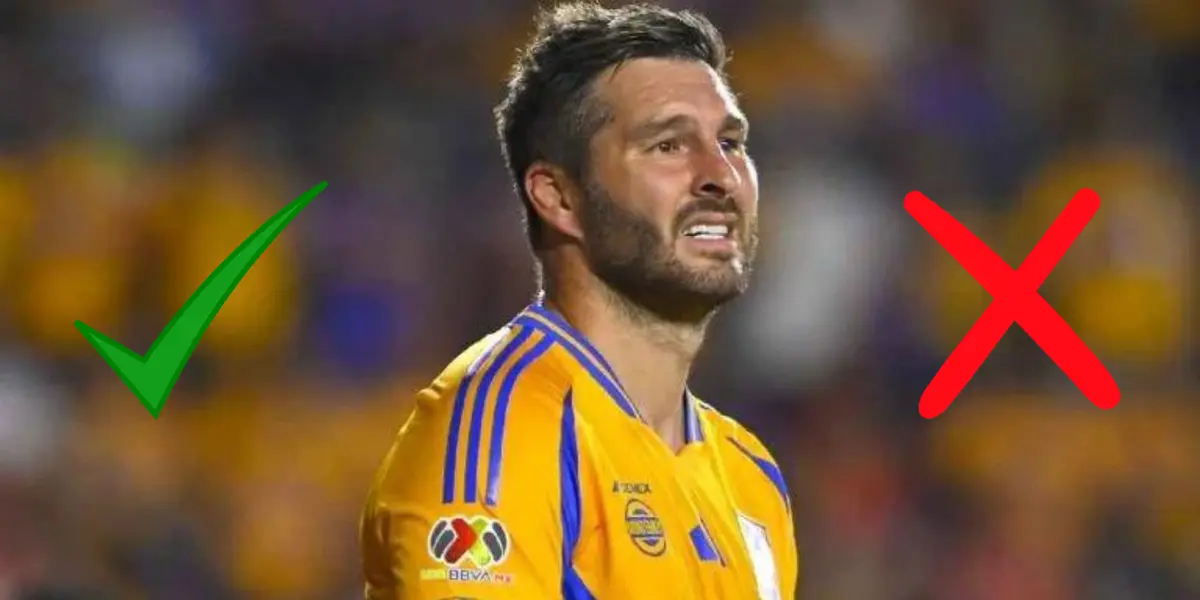 Gignac en partido con Tigres. Foto: Récord
