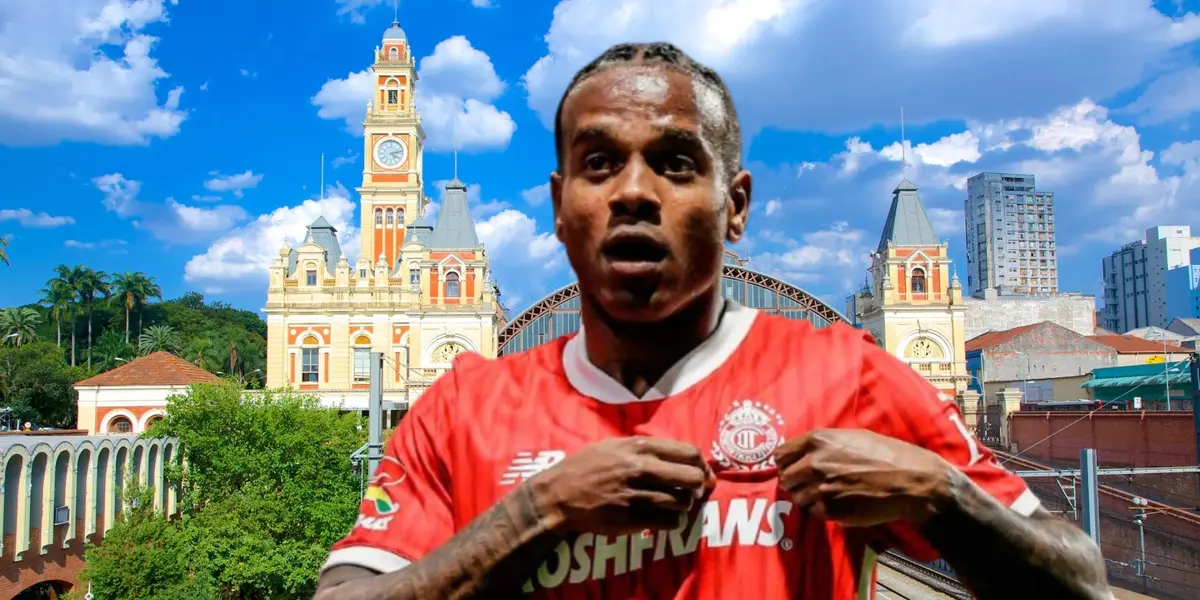 Helinho en Santa Catarina, Brasil / FOTO AGENCIA DE NOTICIAS MVT